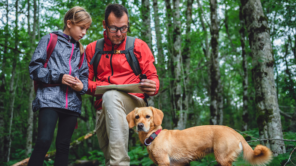 Family walking trails - dad and daughter map reading